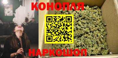 МДПВ Краснодар