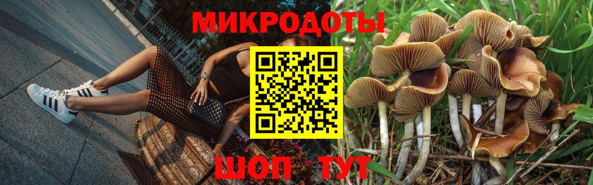 Галлюциногенные грибы Psilocybine cubensis Аксай