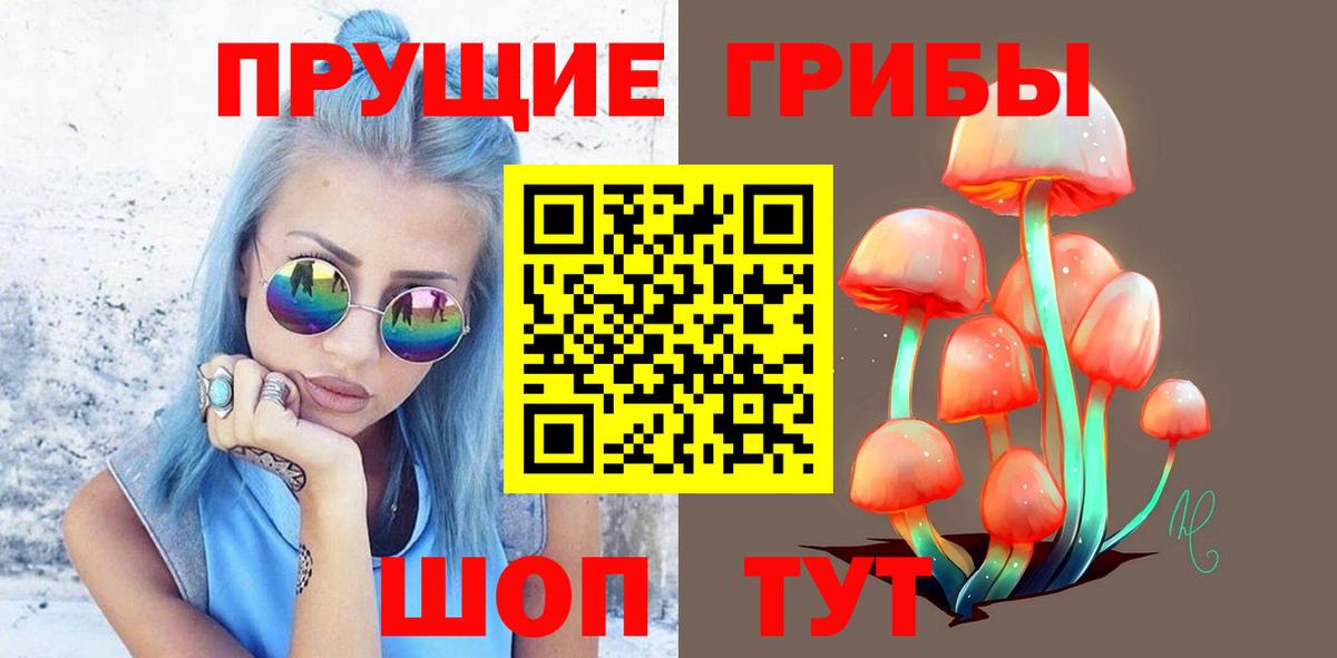 Аксай  Псилоцибиновые грибы MAGIC MUSHROOMS  Вход с VPN  Псилоцибиновые грибы мицелий 